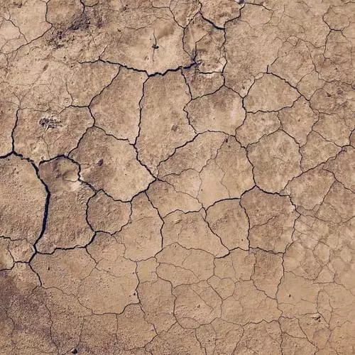 dry cracked earth